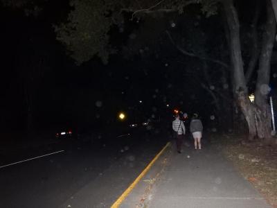 Two people walking at night dimly seen