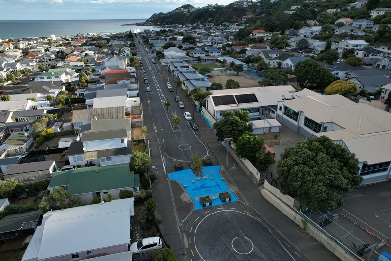 Freyberg Street in Lyall Bay