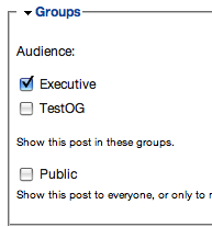 audience options